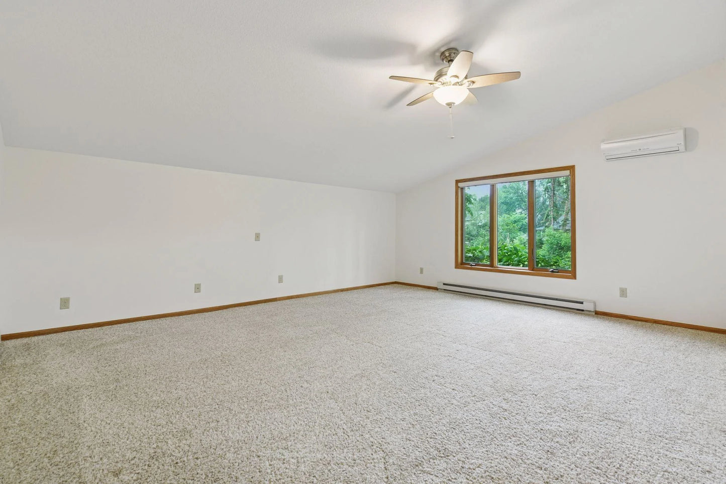 1378 Dunsmore Drive, Waconia, MN 55387