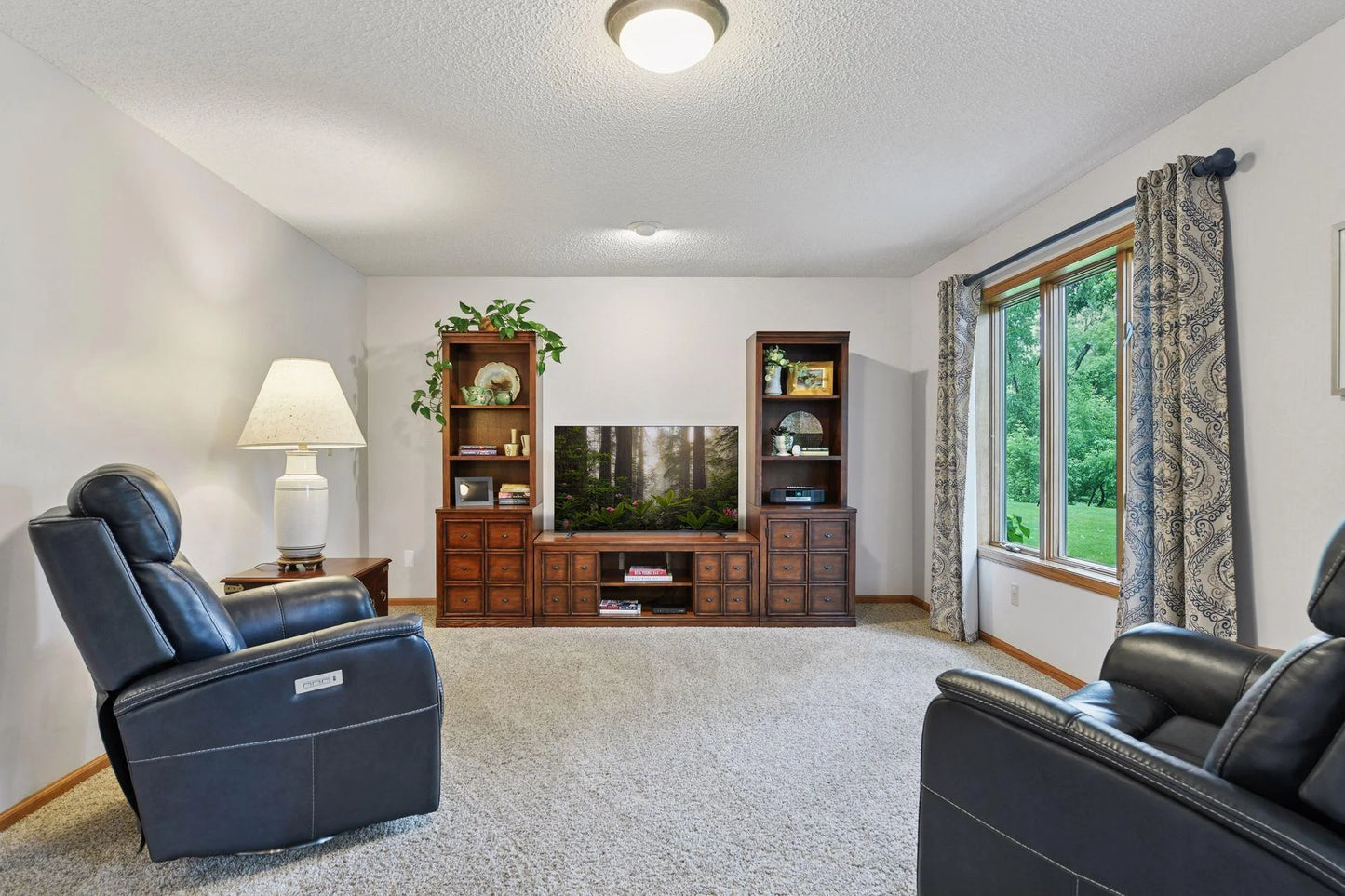 1378 Dunsmore Drive, Waconia, MN 55387