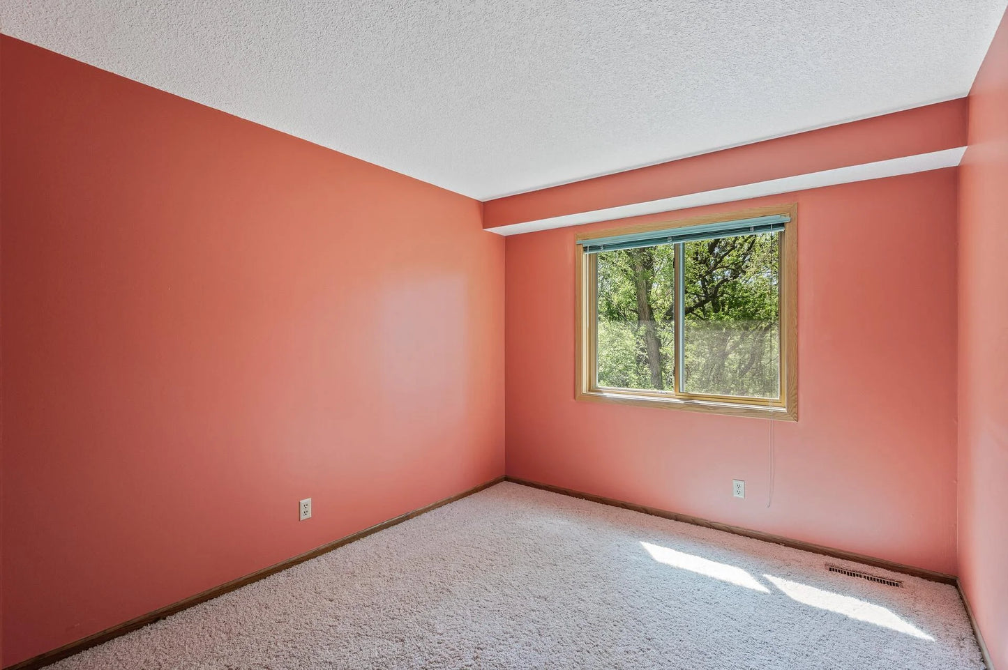 13838 Glendale Trail, Savage, MN 55378